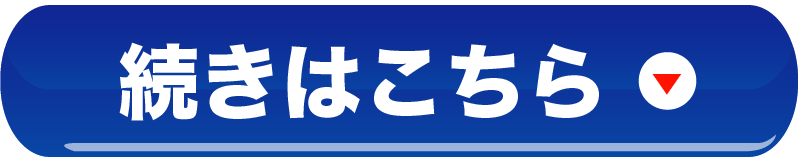 続きを読む